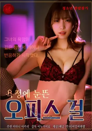 长夜有灯更新